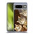 Michael David Ward Animals Fancy Cats Soft Gel Case for Google Pixel 8