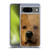 Vincent Hie Big Face Dogs Golden Retriever Soft Gel Case for Google Pixel 8