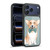 Barruf Dogs Corgi Gel Armour Case For Apple iPhone 17 Pro Max