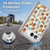 Micklyn Le Feuvre Patterns 2 Rainbow Fast Food Soft Gel Case for Apple iPhone Duo