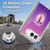 Miraculous Ladybug Graphics Ladybug Soft Gel Case for Apple iPhone Duo