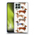 Cat Coquillette Animals Dachshunds Soft Gel Case for Samsung Galaxy M53 (2022)