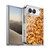 PLdesign Flowers And Leaves Fall Maple Soft Gel Case for Apple iPhone Duo