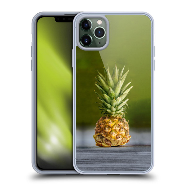 Pixelmated Animals Surreal Pets Pineapple Turtle Soft Gel Case for Apple iPhone 11 Pro Max
