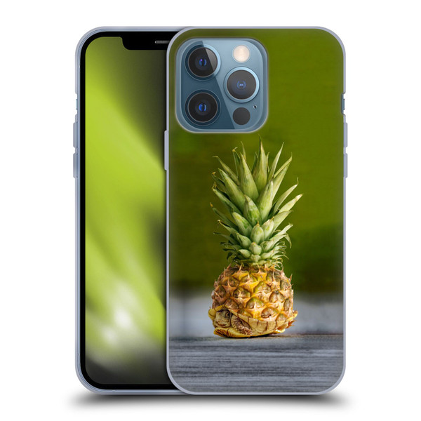 Pixelmated Animals Surreal Pets Pineapple Turtle Soft Gel Case for Apple iPhone 13 Pro