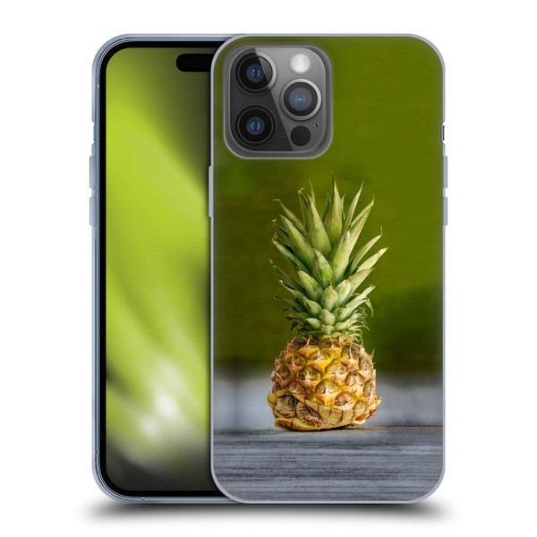 Pixelmated Animals Surreal Pets Pineapple Turtle Soft Gel Case for Apple iPhone 14 Pro Max