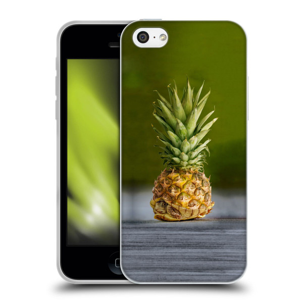 Pixelmated Animals Surreal Pets Pineapple Turtle Soft Gel Case for Apple iPhone 5c