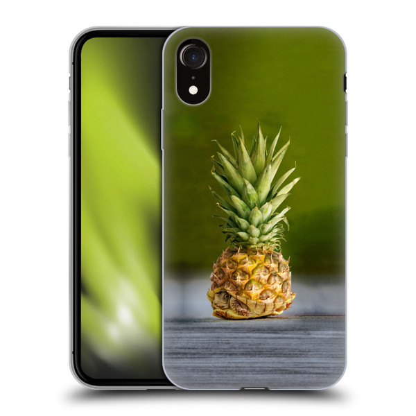 Pixelmated Animals Surreal Pets Pineapple Turtle Soft Gel Case for Apple iPhone XR