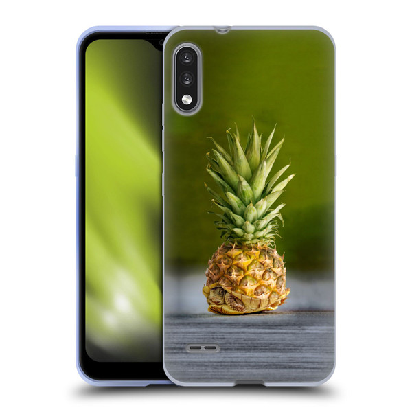 Pixelmated Animals Surreal Pets Pineapple Turtle Soft Gel Case for LG K22