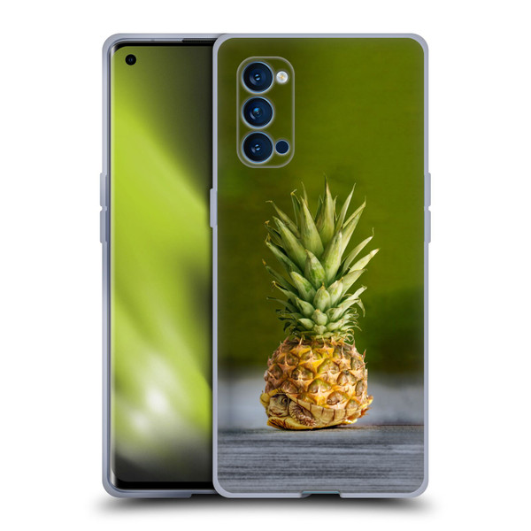 Pixelmated Animals Surreal Pets Pineapple Turtle Soft Gel Case for OPPO Reno 4 Pro 5G