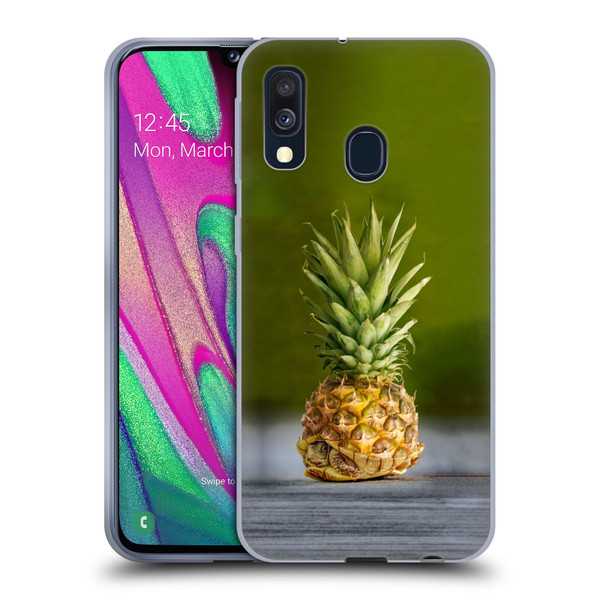 Pixelmated Animals Surreal Pets Pineapple Turtle Soft Gel Case for Samsung Galaxy A40 (2019)