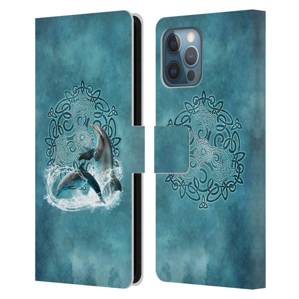 Brigid Ashwood Celtic Wisdom Dolphin Leather Book Wallet Case Cover For Apple iPhone 12 Pro Max