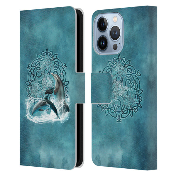 Brigid Ashwood Celtic Wisdom Dolphin Leather Book Wallet Case Cover For Apple iPhone 13 Pro