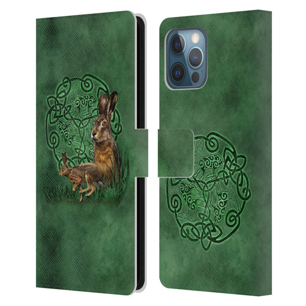 Brigid Ashwood Celtic Wisdom 2 Hare Leather Book Wallet Case Cover For Apple iPhone 12 Pro Max
