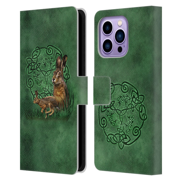 Brigid Ashwood Celtic Wisdom 2 Hare Leather Book Wallet Case Cover For Apple iPhone 14 Pro Max