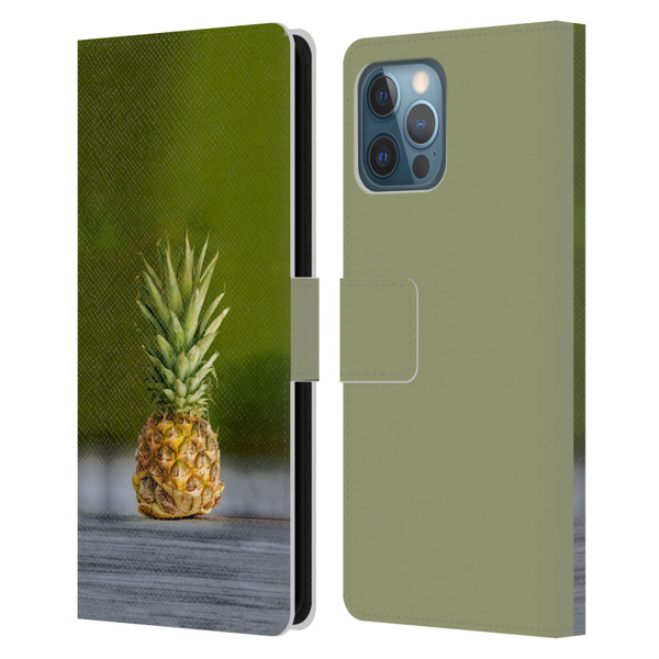 Pixelmated Animals Surreal Pets Pineapple Turtle Leather Book Wallet Case Cover For Apple iPhone 12 Pro Max