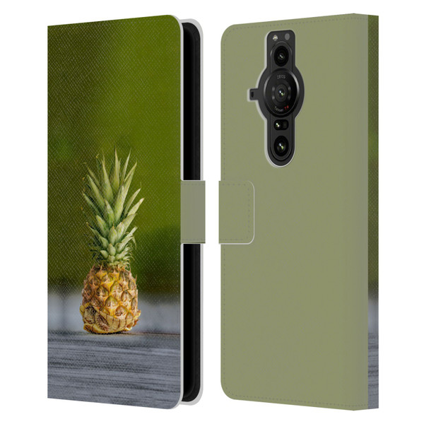 Pixelmated Animals Surreal Pets Pineapple Turtle Leather Book Wallet Case Cover For Sony Xperia Pro-I