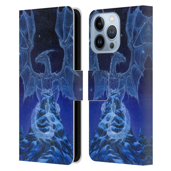 Ed Beard Jr Dragons Winter Spirit Leather Book Wallet Case Cover For Apple iPhone 13 Pro