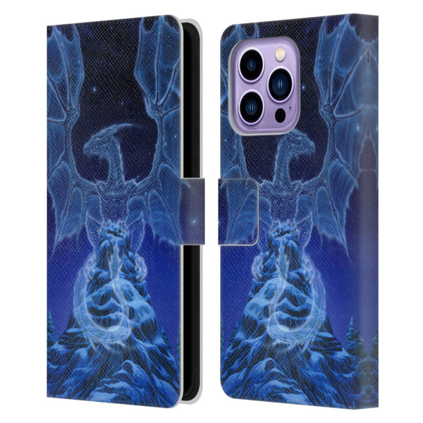Ed Beard Jr Dragons Winter Spirit Leather Book Wallet Case Cover For Apple iPhone 14 Pro Max