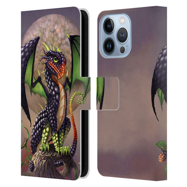 Stanley Morrison Dragons 3 Berry Garden Leather Book Wallet Case Cover For Apple iPhone 13 Pro