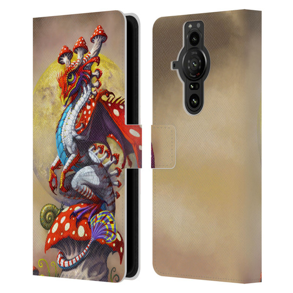 Stanley Morrison Dragons 3 Mushroom Garden Leather Book Wallet Case Cover For Sony Xperia Pro-I