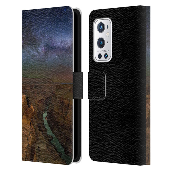 Royce Bair Photography Toroweap Leather Book Wallet Case Cover For OnePlus 9 Pro