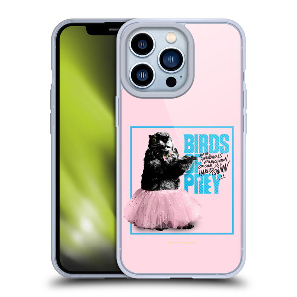 Birds of Prey DC Comics Graphics Squirrel Ballet Soft Gel Case for Apple iPhone 13 Pro