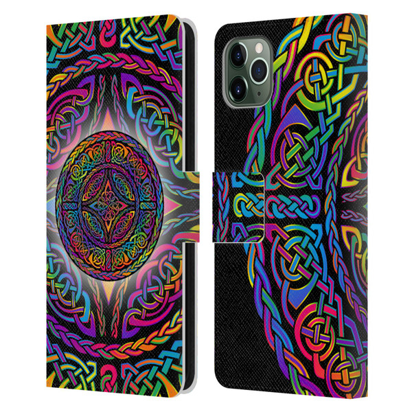 Beth Wilson Rainbow Celtic Knots Shield Leather Book Wallet Case Cover For Apple iPhone 11 Pro Max