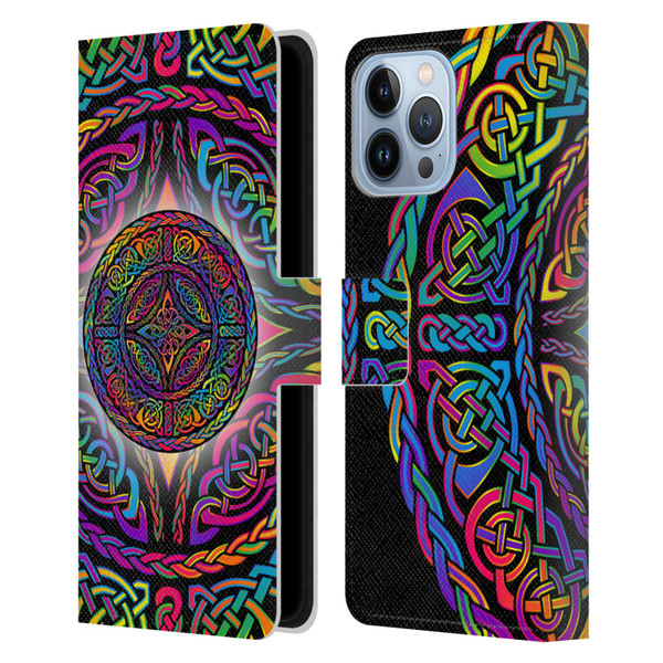 Beth Wilson Rainbow Celtic Knots Shield Leather Book Wallet Case Cover For Apple iPhone 13 Pro Max