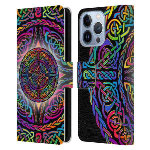 Beth Wilson Rainbow Celtic Knots Shield Leather Book Wallet Case Cover For Apple iPhone 13 Pro