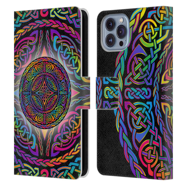 Beth Wilson Rainbow Celtic Knots Shield Leather Book Wallet Case Cover For Apple iPhone 14