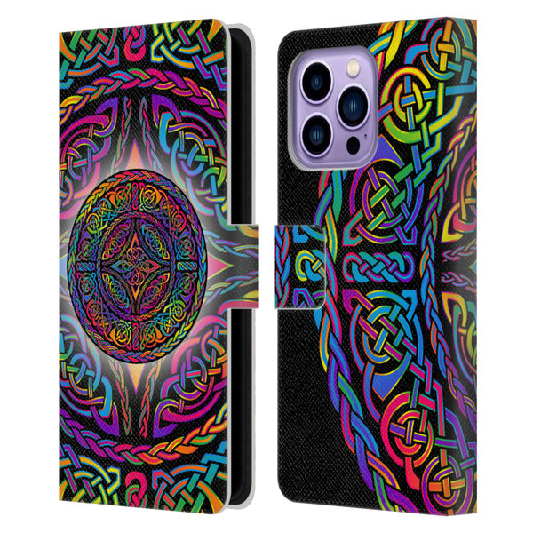 Beth Wilson Rainbow Celtic Knots Shield Leather Book Wallet Case Cover For Apple iPhone 14 Pro Max