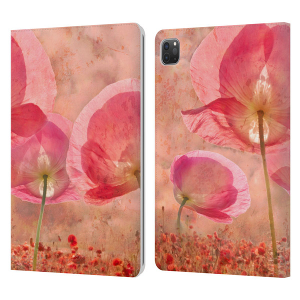 Celebrate Life Gallery Florals Dance Of The Fairies Leather Book Wallet Case Cover For Apple iPad Pro 11 2020 / 2021 / 2022