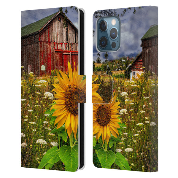 Celebrate Life Gallery Florals Barn Meadow Flowers Leather Book Wallet Case Cover For Apple iPhone 12 Pro Max