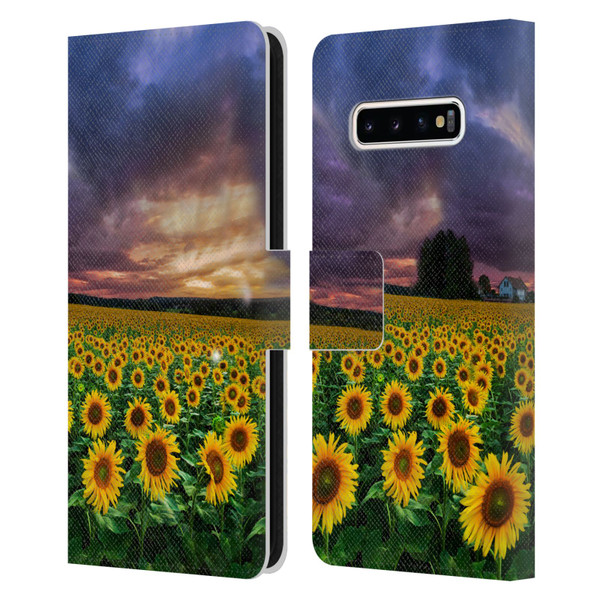 Celebrate Life Gallery Florals Stormy Sunrise Leather Book Wallet Case Cover For Samsung Galaxy S10+ / S10 Plus