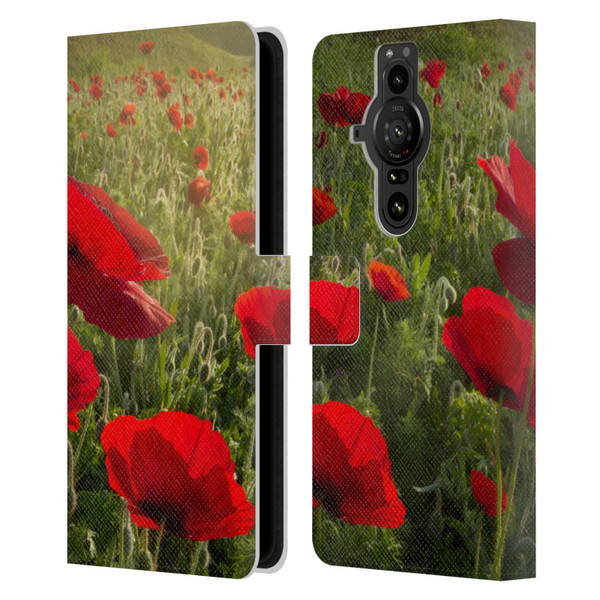 Celebrate Life Gallery Florals Waiting For The Morning Leather Book Wallet Case Cover For Sony Xperia Pro-I
