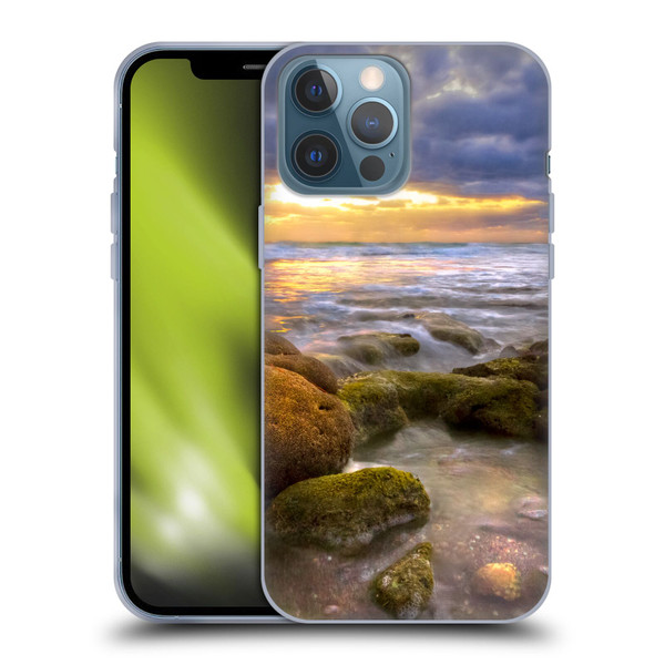 Celebrate Life Gallery Beaches Star Coral Soft Gel Case for Apple iPhone 13 Pro Max