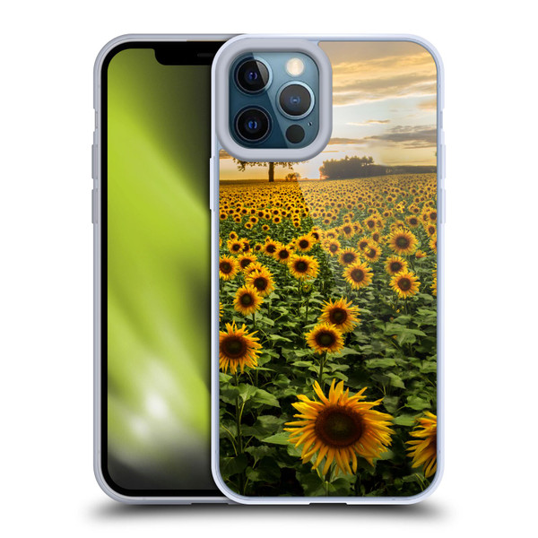 Celebrate Life Gallery Florals Big Sunflower Field Soft Gel Case for Apple iPhone 12 Pro Max