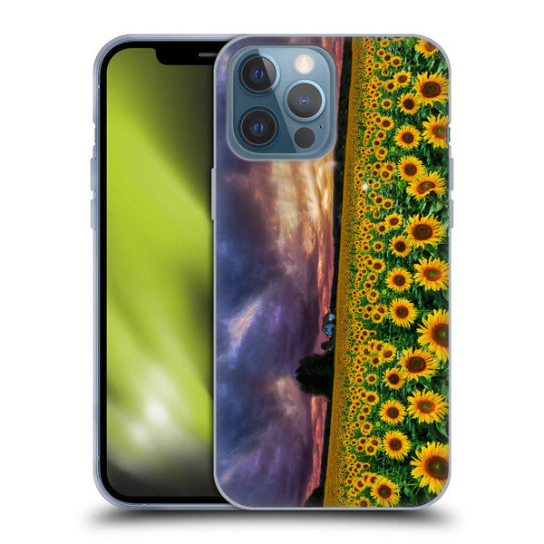 Celebrate Life Gallery Florals Stormy Sunrise Soft Gel Case for Apple iPhone 13 Pro Max