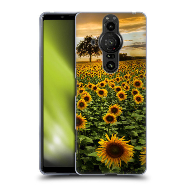Celebrate Life Gallery Florals Big Sunflower Field Soft Gel Case for Sony Xperia Pro-I