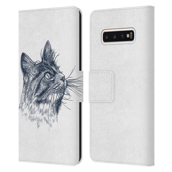 Rachel Caldwell Animals 3 Cat Leather Book Wallet Case Cover For Samsung Galaxy S10