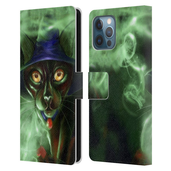 Ash Evans Black Cats Conjuring Magic Leather Book Wallet Case Cover For Apple iPhone 12 Pro Max