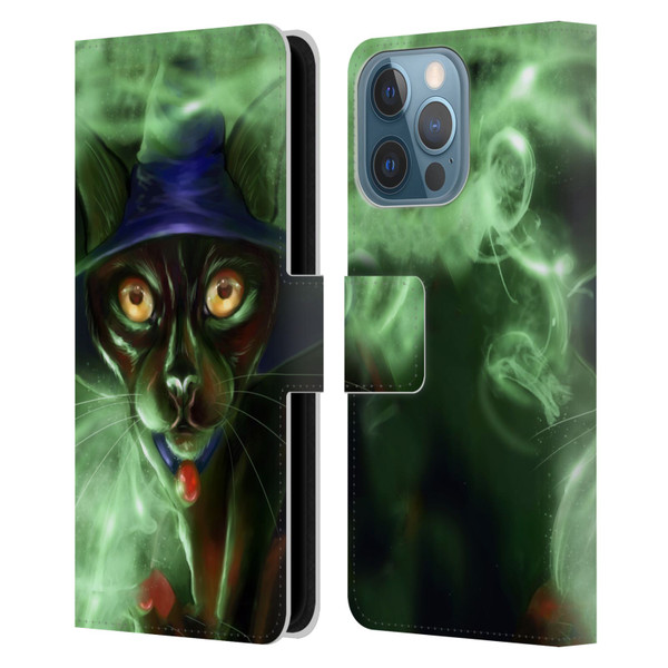 Ash Evans Black Cats Conjuring Magic Leather Book Wallet Case Cover For Apple iPhone 13 Pro