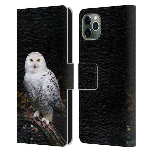 Patrik Lovrin Animal Portraits Majestic Winter Snowy Owl Leather Book Wallet Case Cover For Apple iPhone 11 Pro Max