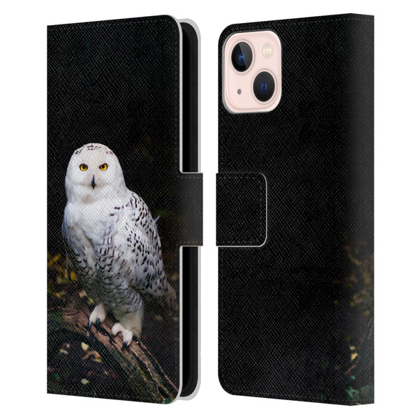 Patrik Lovrin Animal Portraits Majestic Winter Snowy Owl Leather Book Wallet Case Cover For Apple iPhone 13