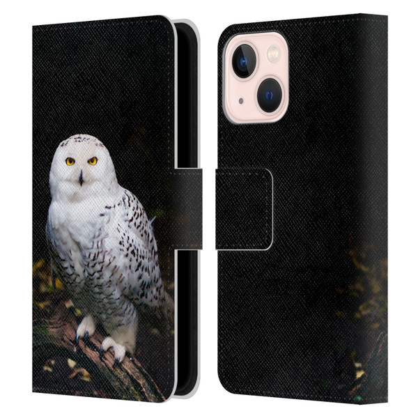 Patrik Lovrin Animal Portraits Majestic Winter Snowy Owl Leather Book Wallet Case Cover For Apple iPhone 13 Mini