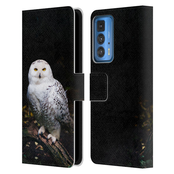 Patrik Lovrin Animal Portraits Majestic Winter Snowy Owl Leather Book Wallet Case Cover For Motorola Edge 20 Pro