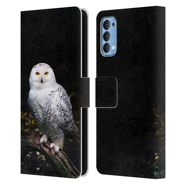 Patrik Lovrin Animal Portraits Majestic Winter Snowy Owl Leather Book Wallet Case Cover For OPPO Reno 4 5G