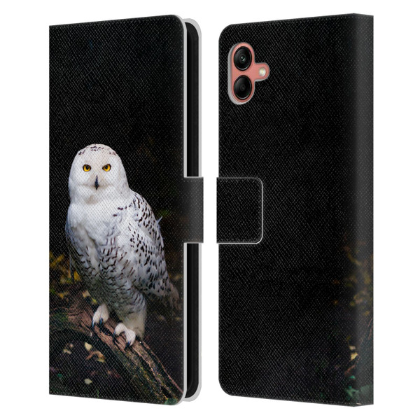 Patrik Lovrin Animal Portraits Majestic Winter Snowy Owl Leather Book Wallet Case Cover For Samsung Galaxy A04 (2022)