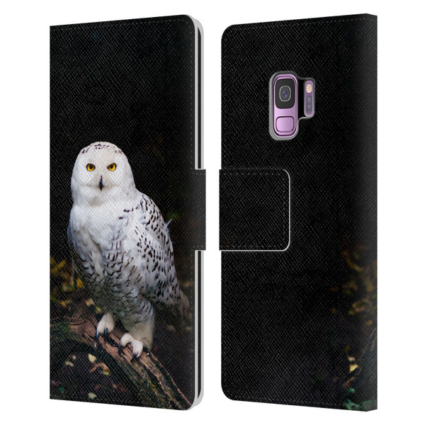 Patrik Lovrin Animal Portraits Majestic Winter Snowy Owl Leather Book Wallet Case Cover For Samsung Galaxy S9